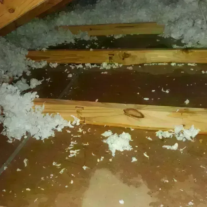 Attic Water Damage in Clarence, NY