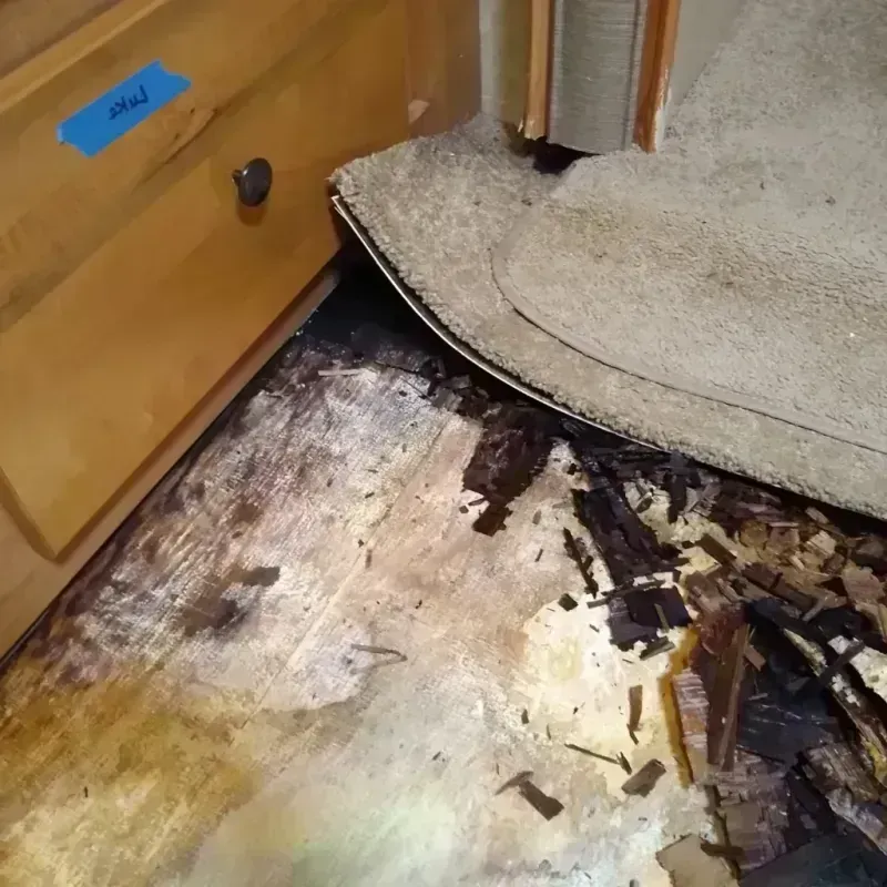 Best Wood Floor Water Damage Service in Clarence, NY